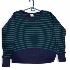 Aerie Navy and Green Striped Crew Neck Sweater